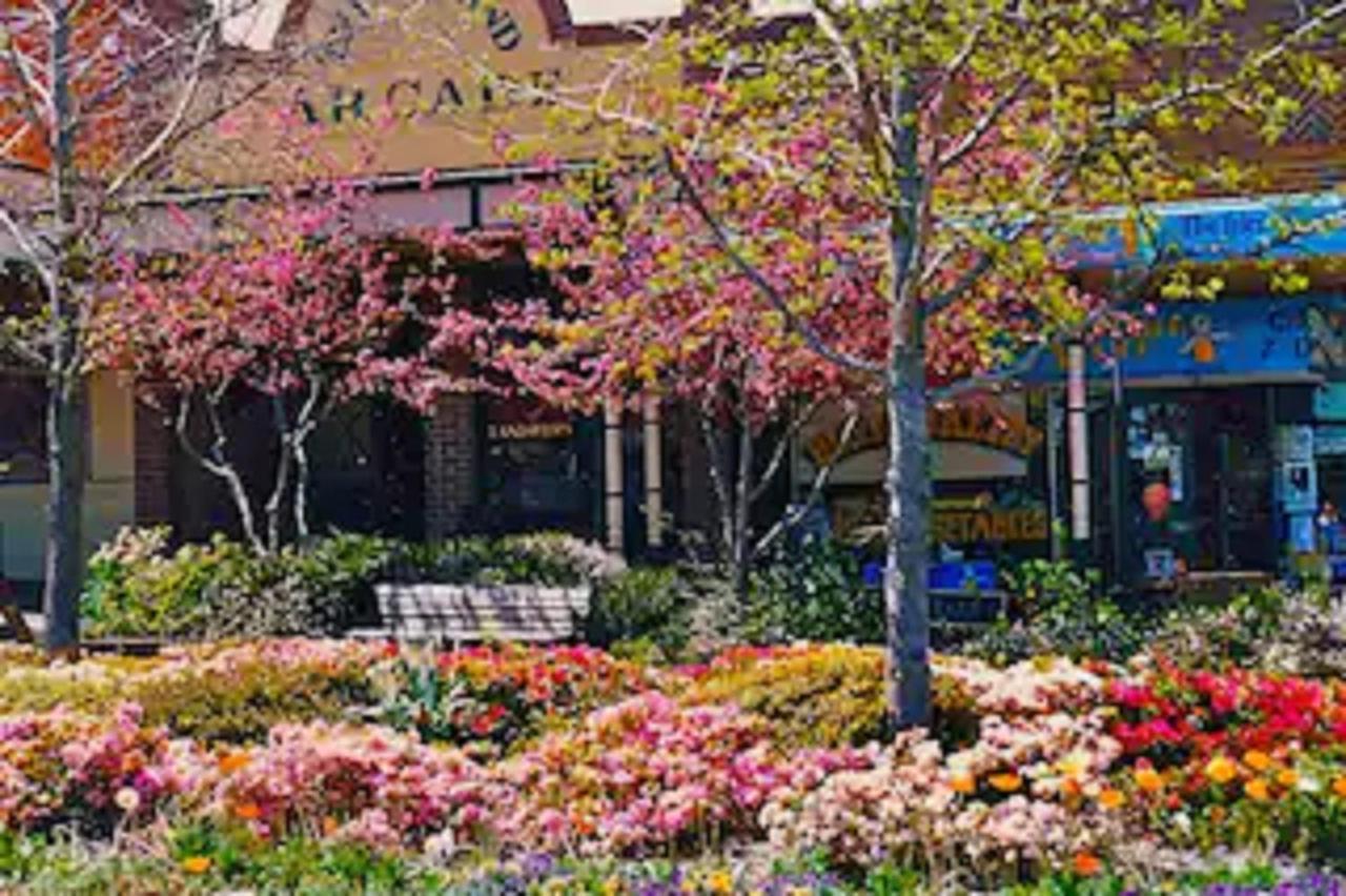 Rose Pine Cottage At Leura Exterior photo